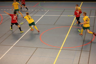 乐鱼体育app网址-篮球场地标准升级 提升比赛公平性，篮球场地标准尺寸百度百科  第4张