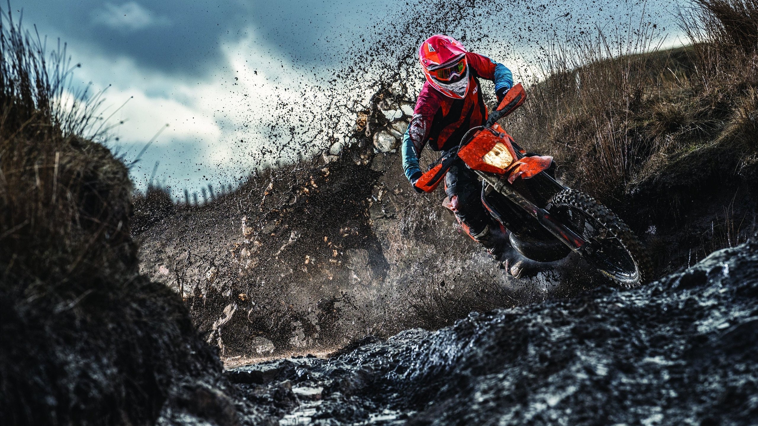 乐鱼app下载-BLG赛季黑马逆风表现,黑马逆袭是什么意思 第2张 乐鱼app下载-BLG赛季黑马逆风表现,黑马逆袭是什么意思 第2张